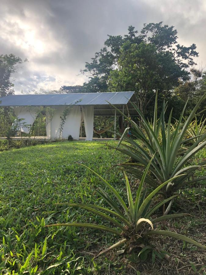 Soursop Hostel Cueta Zewnętrze zdjęcie