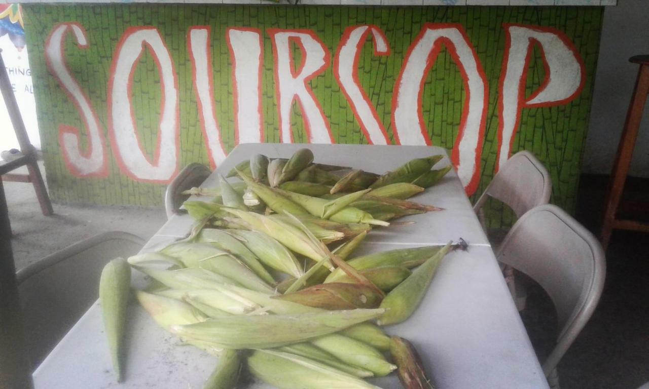 Soursop Hostel Cueta Zewnętrze zdjęcie